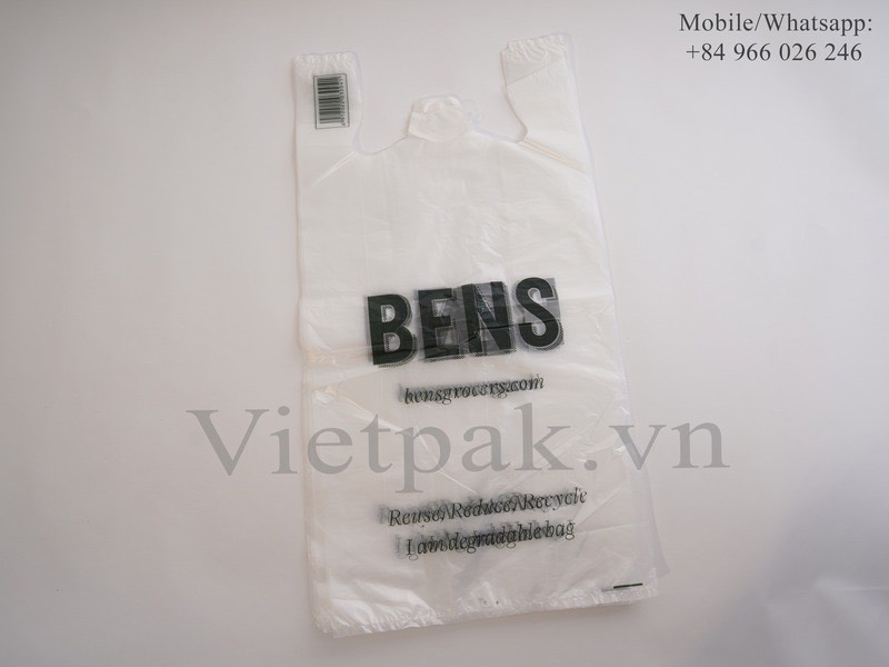 Sustainable Manufacturing Practices at Vietpak