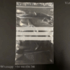 How Long Can You Microwave A Ziploc Bag?