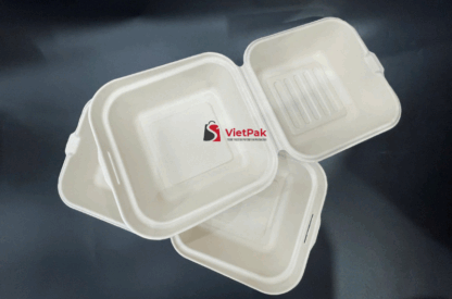 Bagasse Tableware Manufacturer in Vietnam: The Ultimate Guide to Sustainable Food Packaging