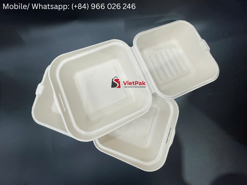 Bagasse Tableware Manufacturer in Vietnam: The Ultimate Guide to Sustainable Food Packaging
