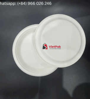 Sugarcane Bagasse Plate